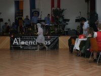 IMG 7391